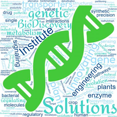 bdi word cloud
